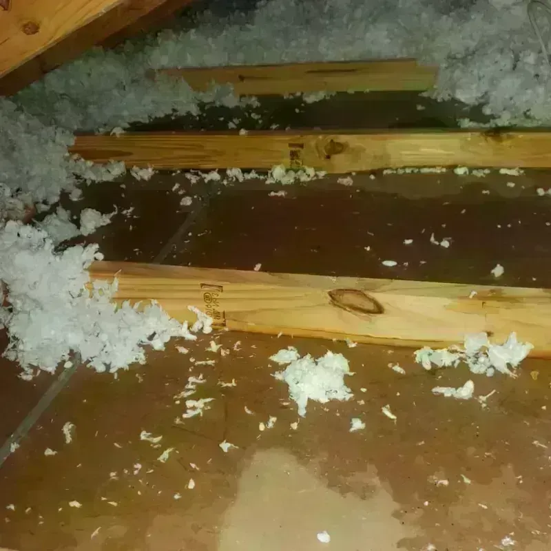 Attic Water Damage in Fort Fairfield, ME