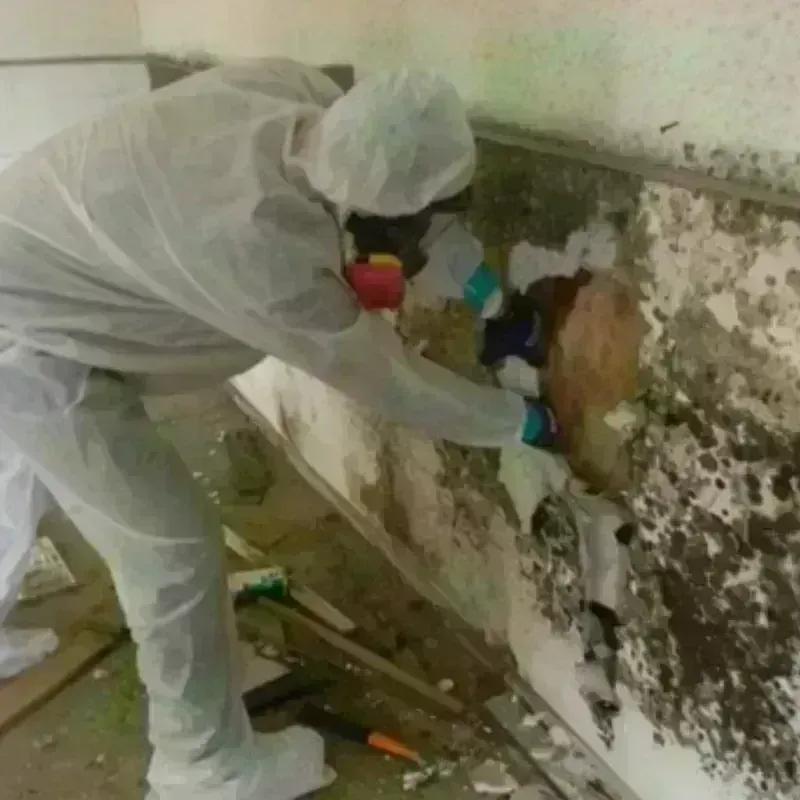 Mold Remediation and Removal in Fort Fairfield, ME